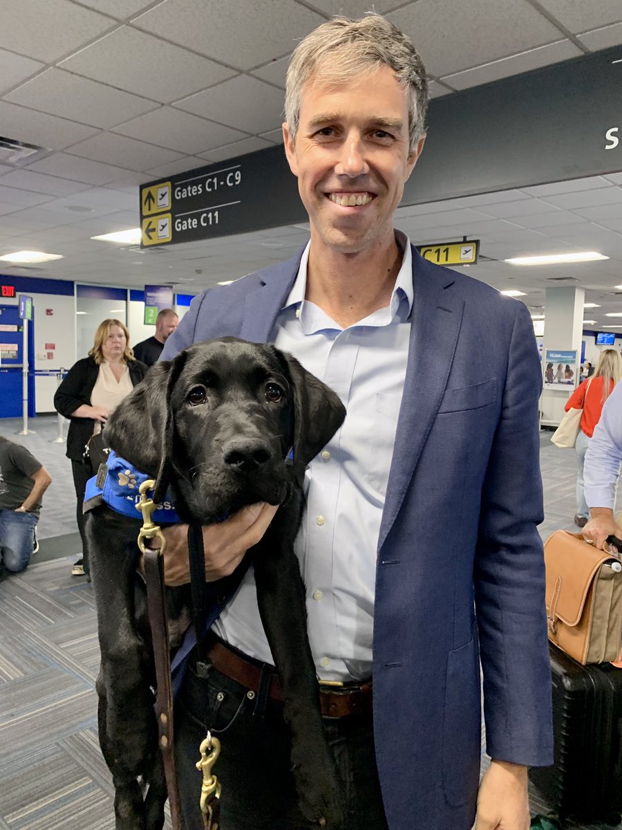 AndreaMcCarren's tweet photo. Alfred and Beto. At Dulles. ￼#OnlyInDC @BetoORourke @AmericasVetDogs #Texas https://t.co/j3lwNtQg5z