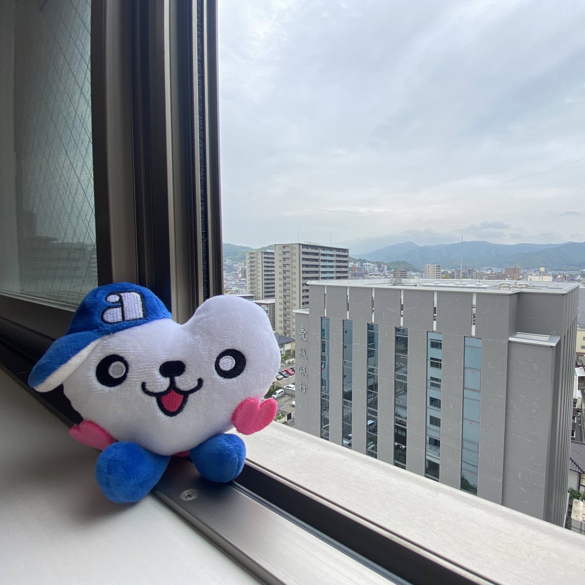 resQchan's tweet photo. おはレスQ❗️
今、松山は曇りだキュ☁️
朝は雨がちらっとしたキュね☂️

高層階からのシティビューも
きっと晴れていたら
もっと絶景だったんだろうなぁ…

そんなことを思いながら
内見してるキュ❣️笑

今日も一日がんばろうキュ💕

#企業公式が毎朝地元の天気を言い合う 
#レスQちゃん https://t.co/SnhSW0uvQy