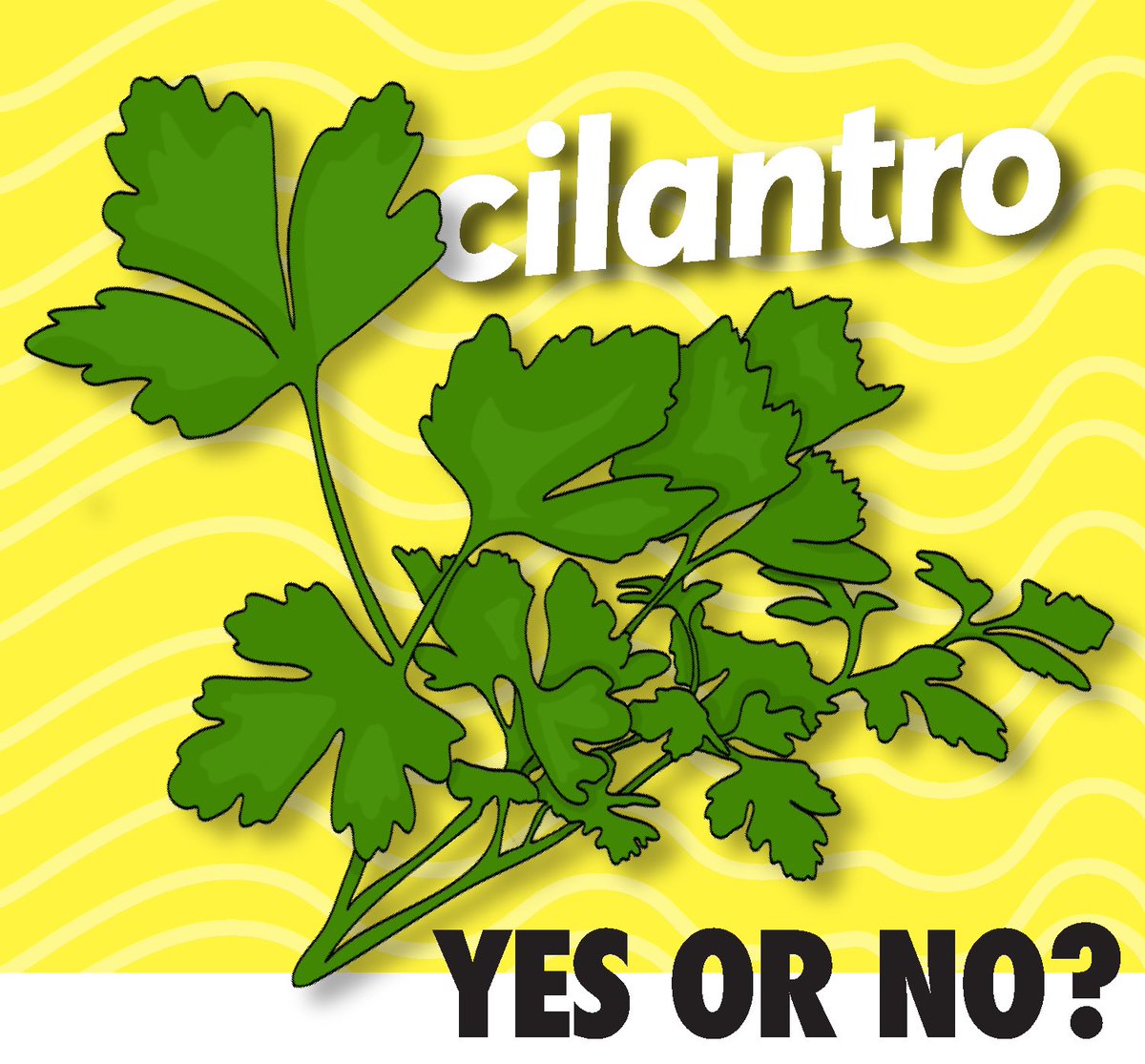 A little light debate to get some of our tension out? Cilantro - is it a yay or a nay for you?