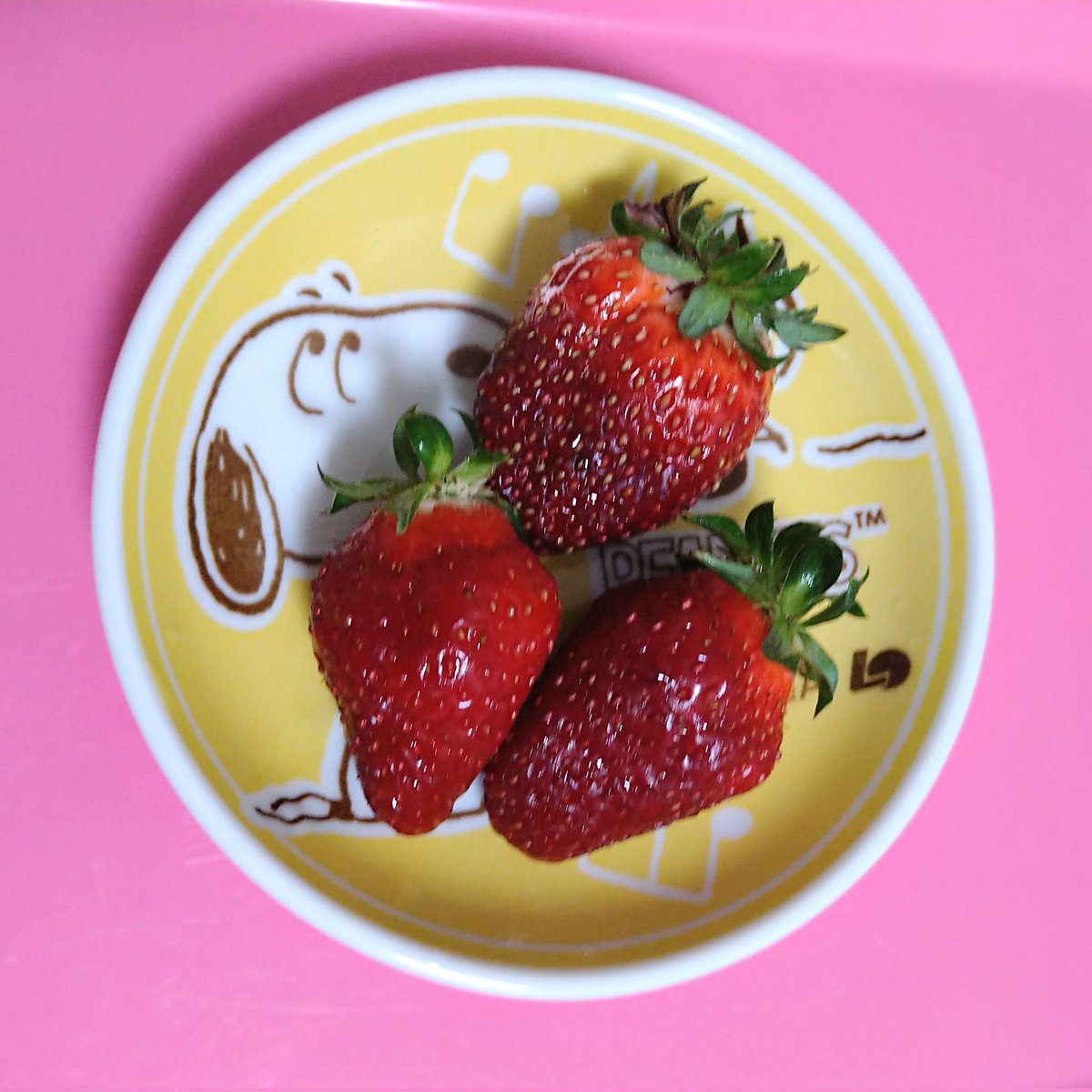 PINKBLACK7355's tweet photo. @Briana_Gigante ブリちん💋おはんよをん🌺
美味しゅうございました🍓 https://t.co/Sddcv35ncx