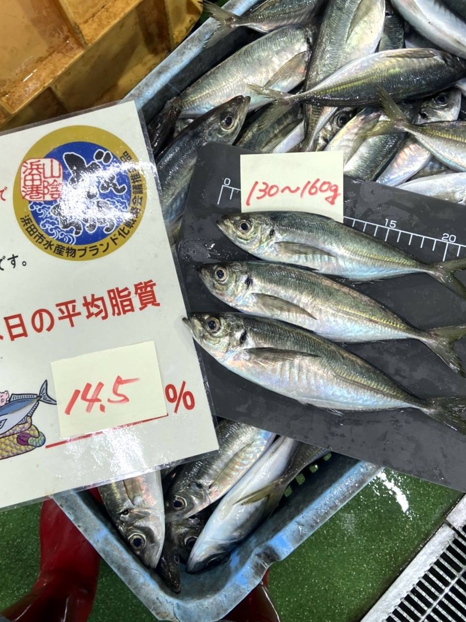 はまだお魚市場 Twitter Search Twitter