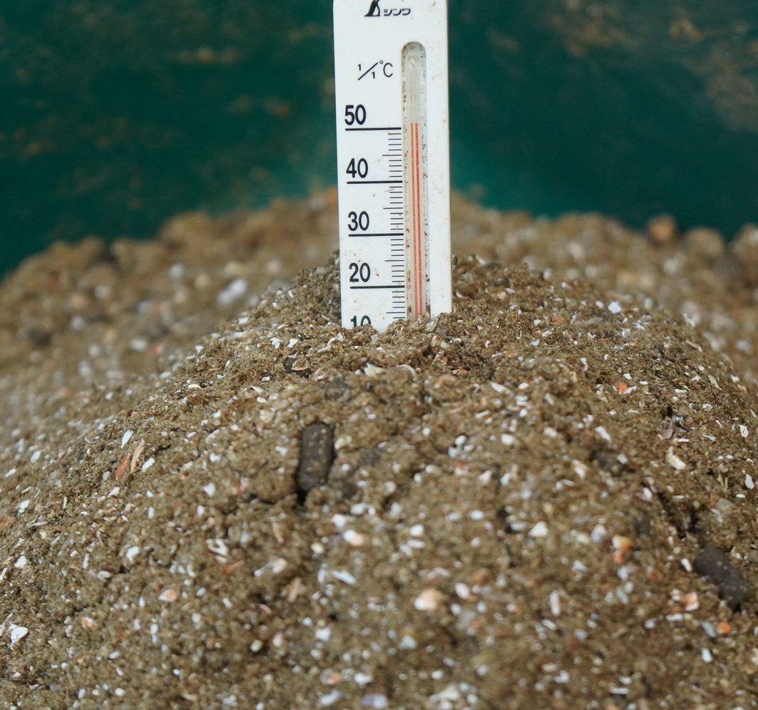 手作り肥料 Twitter Search Twitter