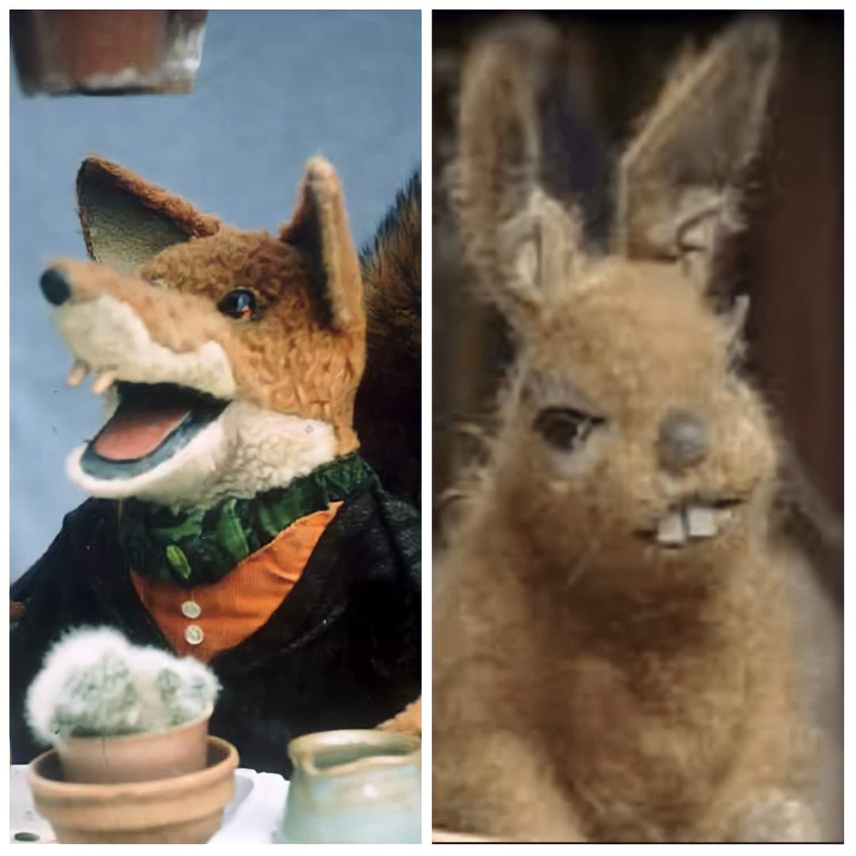 Do Basil Brush and Hartley Hare goto the same Dentist?
