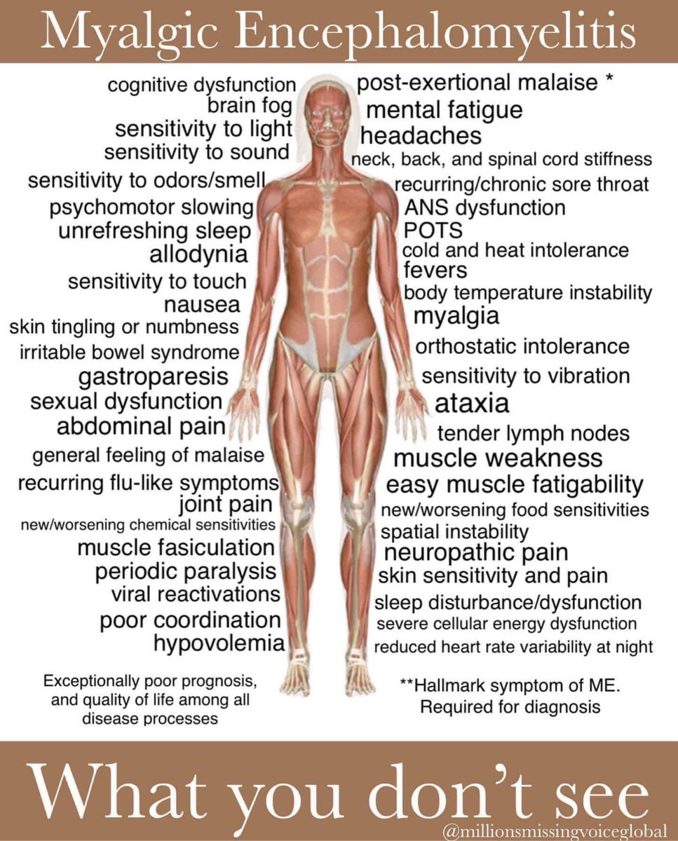 Today is #MEAwarenessDay #MEAwarenessWeek2022 #MyalgicEncephalomyelitis #MECFS #pwME This illness is not just fatigue it is debilitating & effects the entire body. Most patients live their lives to the confines of their homes & even their beds, our own lockdown! #MillionsMissing