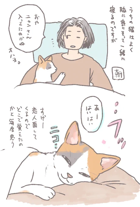 ニャンさん(メス) 