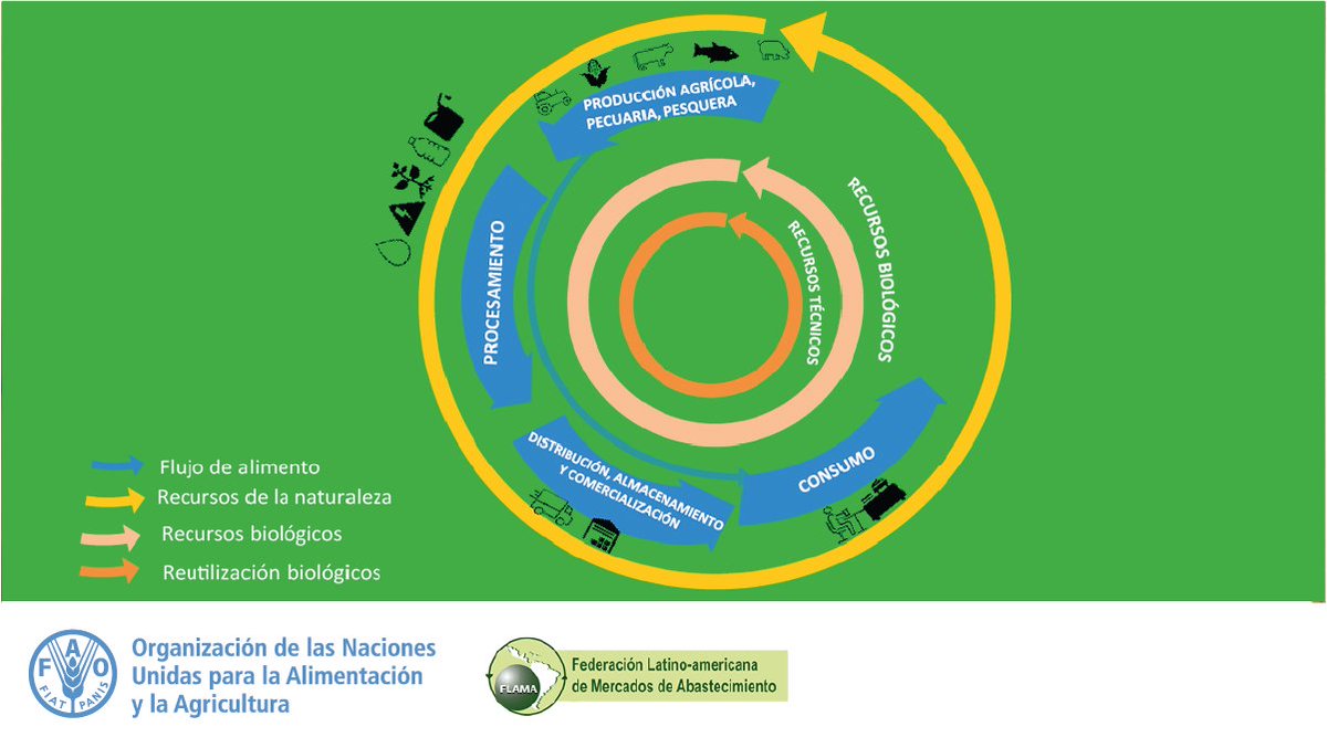 FAOAmericas's tweet photo. ☝🏼La #EconomíaCircular ♻️ es una estrategia que tiene por objetivo que los productos, componentes y materias mantengan su utilidad y valor máximos en todo momento🌱🌎 Minimizando la generación de residuos y contaminación.

Conoce todos sus beneficios:
👉 https://t.co/kuGf4uH5go https://t.co/pUaSnibM8T