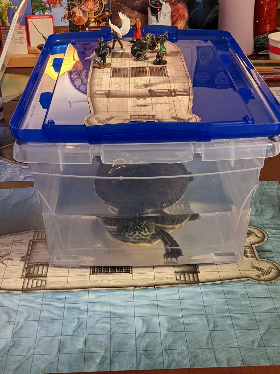 syd_walks's tweet photo. Having a dragon turtle combat in our session tonight had a fun arch 7 @UnprepCasters energy. 

AND we had a very lovely special guest play the part of the dragon turtle, thanks Norah 💚 https://t.co/oiPmM3eY4N