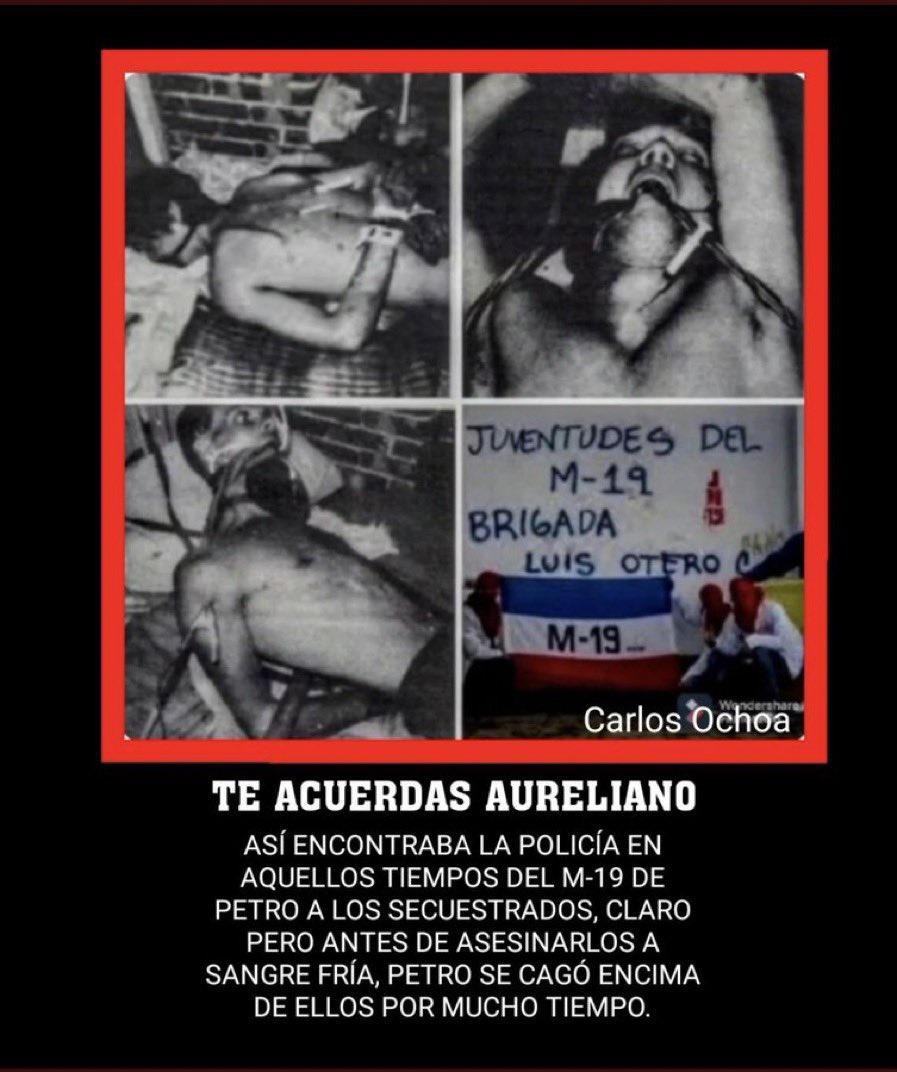 Leonardo Vargas tweet media