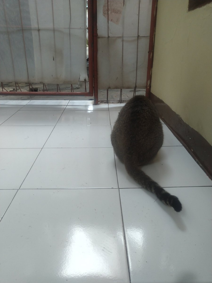 sesekali keluar. biar gak gerah.