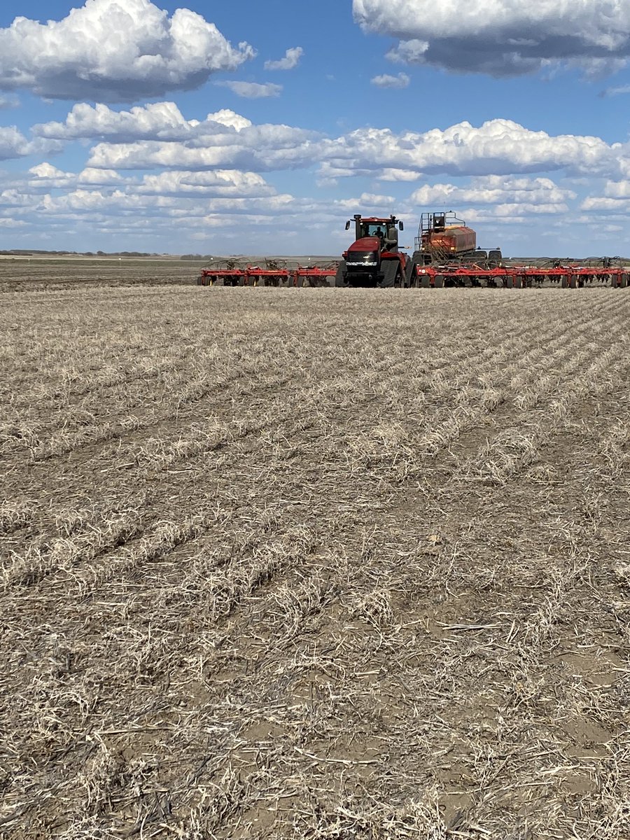 Bethany Wyatt tweet media