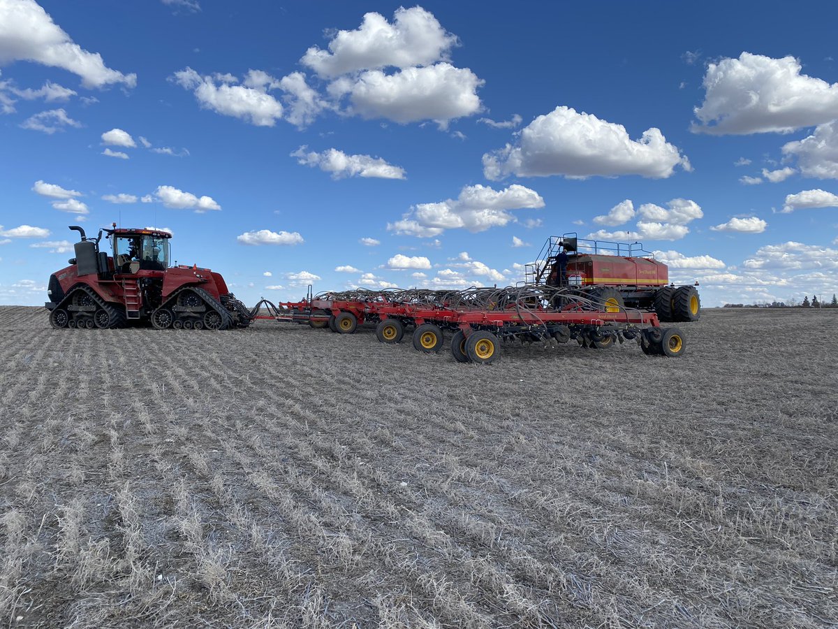 Bethany Wyatt tweet media