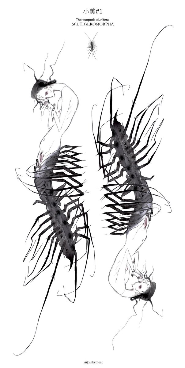 pinkymeat99's tweet photo. -
/#art #creepyart #bug #centipede #scutiger #characterdesign #anthropomorphic #adult https://t.co/kMtiBd1n12