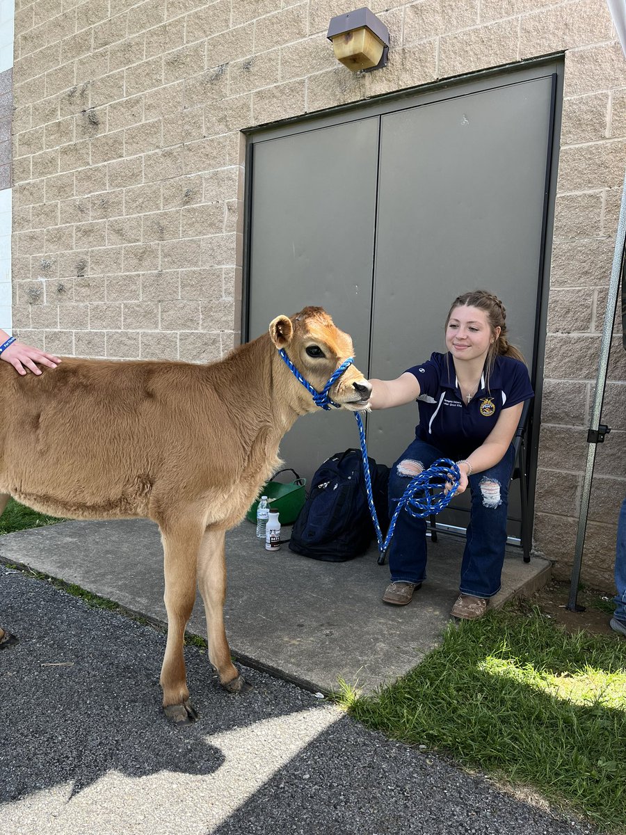 Lynn Lechleitner tweet media