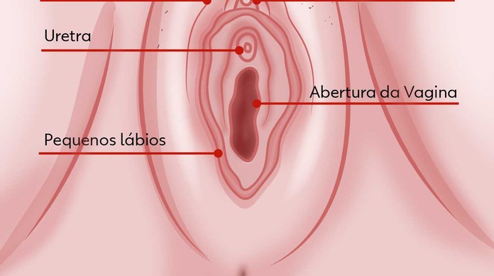LivreExtremo's tweet photo. @spikemorreu @hulk_amigo @Lorena_00f Pelo jeito o cabaço é você, que não sabe que a mulher tem uretra e muito menos onde fica 🤷🏻‍♂️🤦🏻‍♂️ https://t.co/K2AWUmPGED