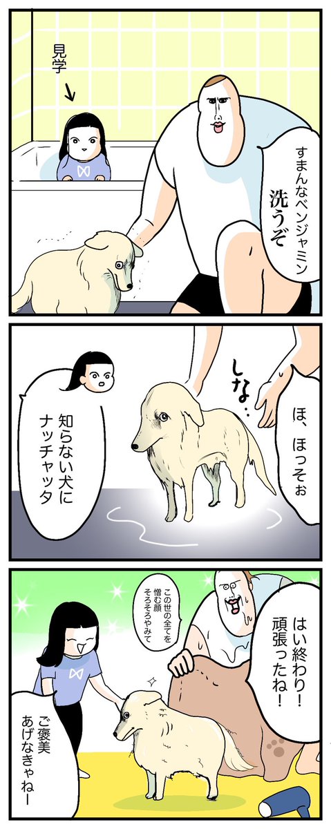 🐶家族がふえてます(犬)♨️

https://t.co/SU9Vu17we5 