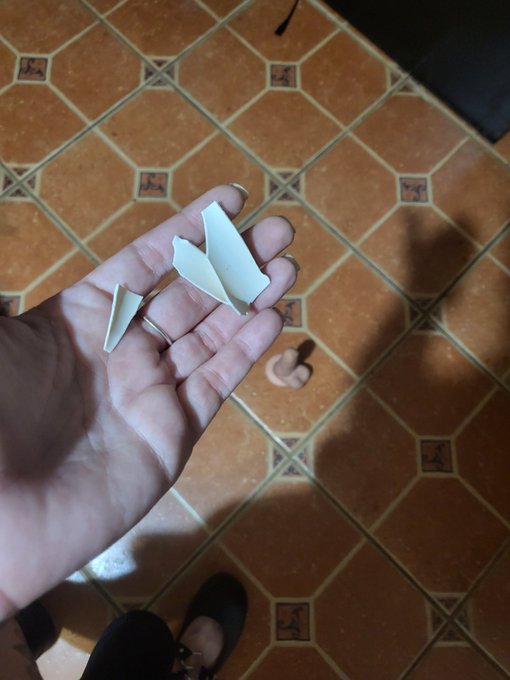 Well, I might need a new fleshy dildo, soon... did you know that they had this stuff inside of them?<a href="/tag/theaudacity"class="tags"><span>#theaudacity</span></a>