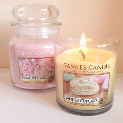 ccvenusitos ɞﾟ₊ tweet media