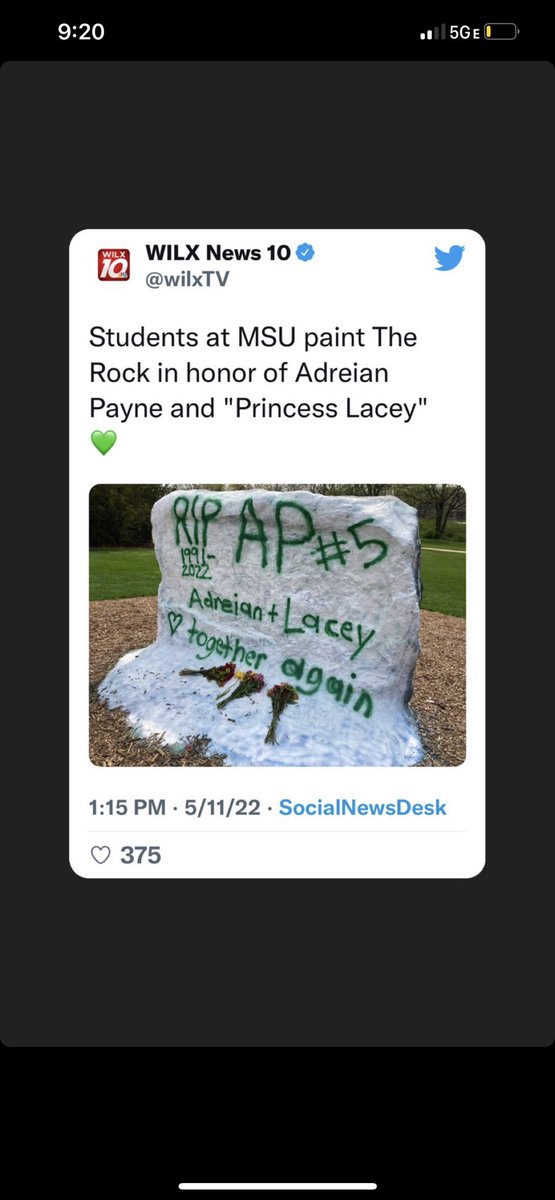 whynot_22's tweet image. Nothing like MSU &amp;amp; the Spartan family! This is bigger than basketball…

AP5🕊💚