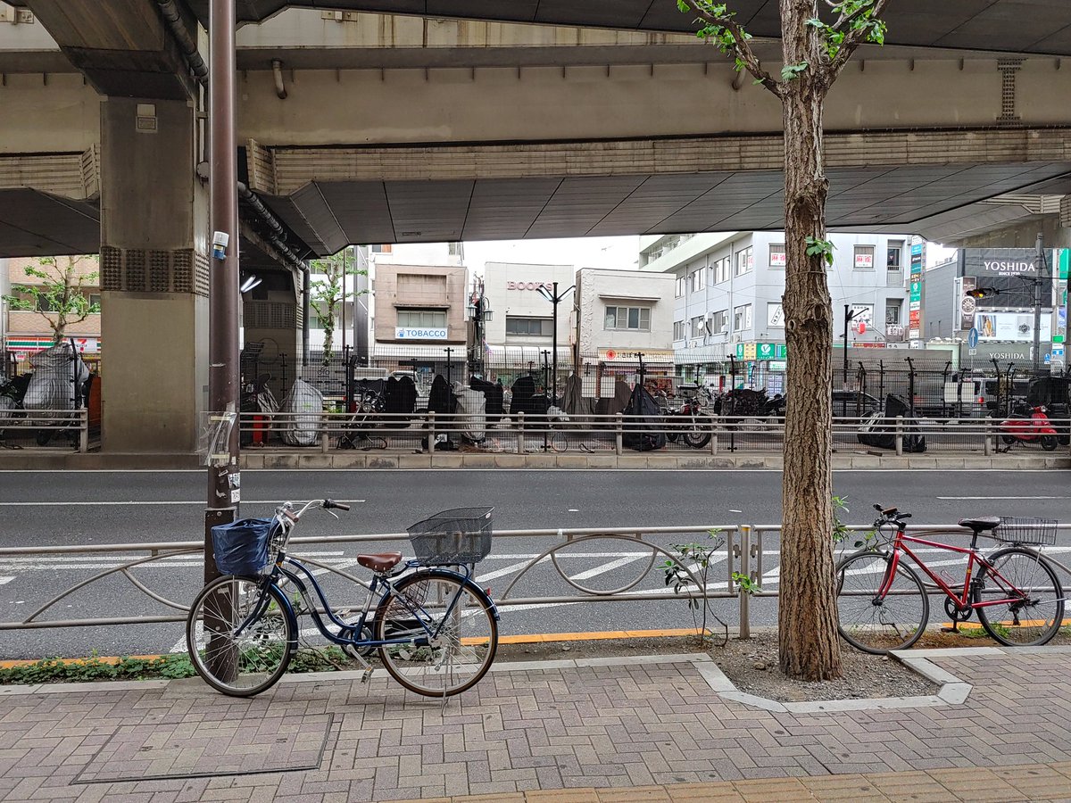 da_minced's tweet photo. しかし、鳩が多い幡ヶ谷。

この街にいったい何があるというのか？不思議である。

このまま平和を連れて来てくれたらいいのだが。

今日の焼きカレーはトマトと舞茸さんを添えてお届けしようと思います。

ありがとうじゅ。

ダミンチはじまります！

#幡ヶ谷ランチ 
#焼きカレー https://t.co/wJ74ZOjoVK