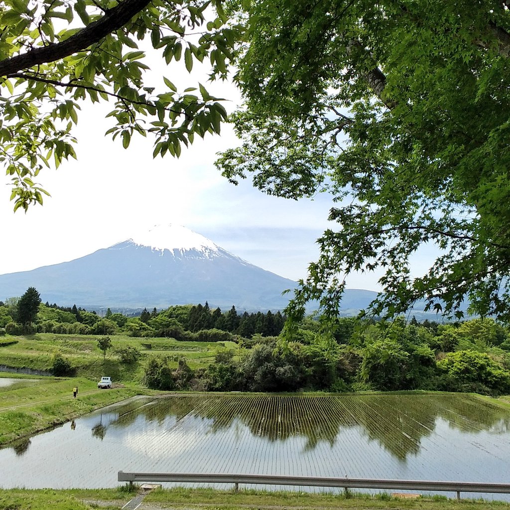 🗻富士山通信🗻 こんにちは😊 小高いところからの 富士山🗻 2: [環水平アーク] 昨日、彩雲と載せましたが お友達のﾂｲｰﾄをみて 私も調べてみました😆 不勉強で ごめんなさい(>_&