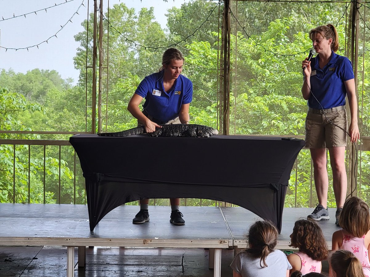 Carrillo tweet media