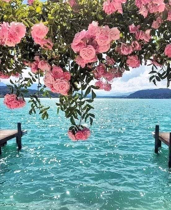 TLeoni311's tweet photo. Good morning https://t.co/KXBHUOvN3a