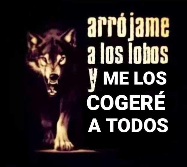 Se que me extrañaron.