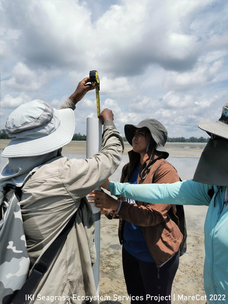 marecet's tweet photo. UPDATE FROM THE FIELD: After 2.5 years of delays due to the pandemic, we are finally able to get started again with our International Klimate Initiative (IKI) Seagrass Ecosystem Services Project*, which is focused around Pulau Setindan, Pulau Sibu, and Pulau Tinggi in Johor. https://t.co/5irC8P6XnX