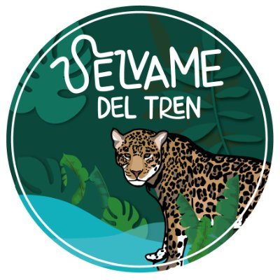 GEORUSSA's tweet photo. #REINVENTARNOS #ESELEMENTAL ASUME COMPARTE❕
@selvamedeltren @salvalaselvaorg 
@laselvasalva 
@RubenDArvizu 
@GEORUSSA 
#PARENELTREN❗ https://t.co/AyhRPZsIr3