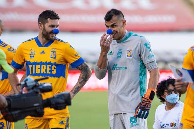 heliohinojosar's tweet photo. La afición del Cruz Azul llevándole serenata al equipo como si mañana enfrentaran un Clásico. 

Les guste o no en la capital, Tigres ya se ha convertido en un equipo que incomoda y al cual quieren derrotar a como dé lugar. 

Ya el argumento de "equipo chico" se les acabó. https://t.co/z40eV4ypPt