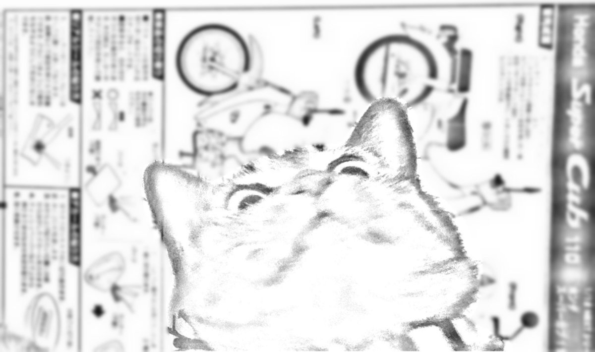 スキャンしようとしたら猫スキャンしちゃった 