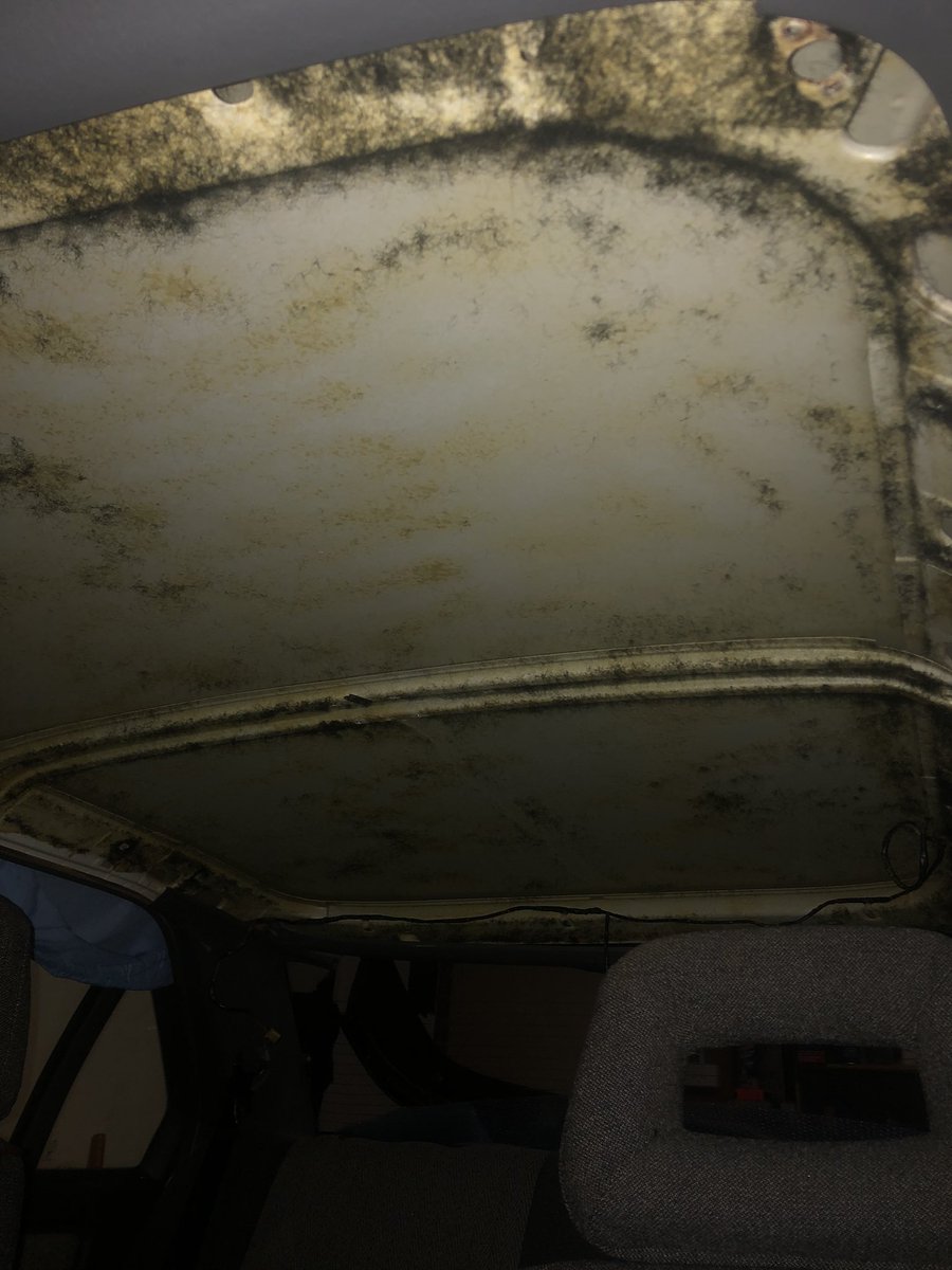 Luckypunk_83's tweet photo. How’s your car restoration going #ford #restoration #ebfalcon #xr8 https://t.co/fL3fcre7in