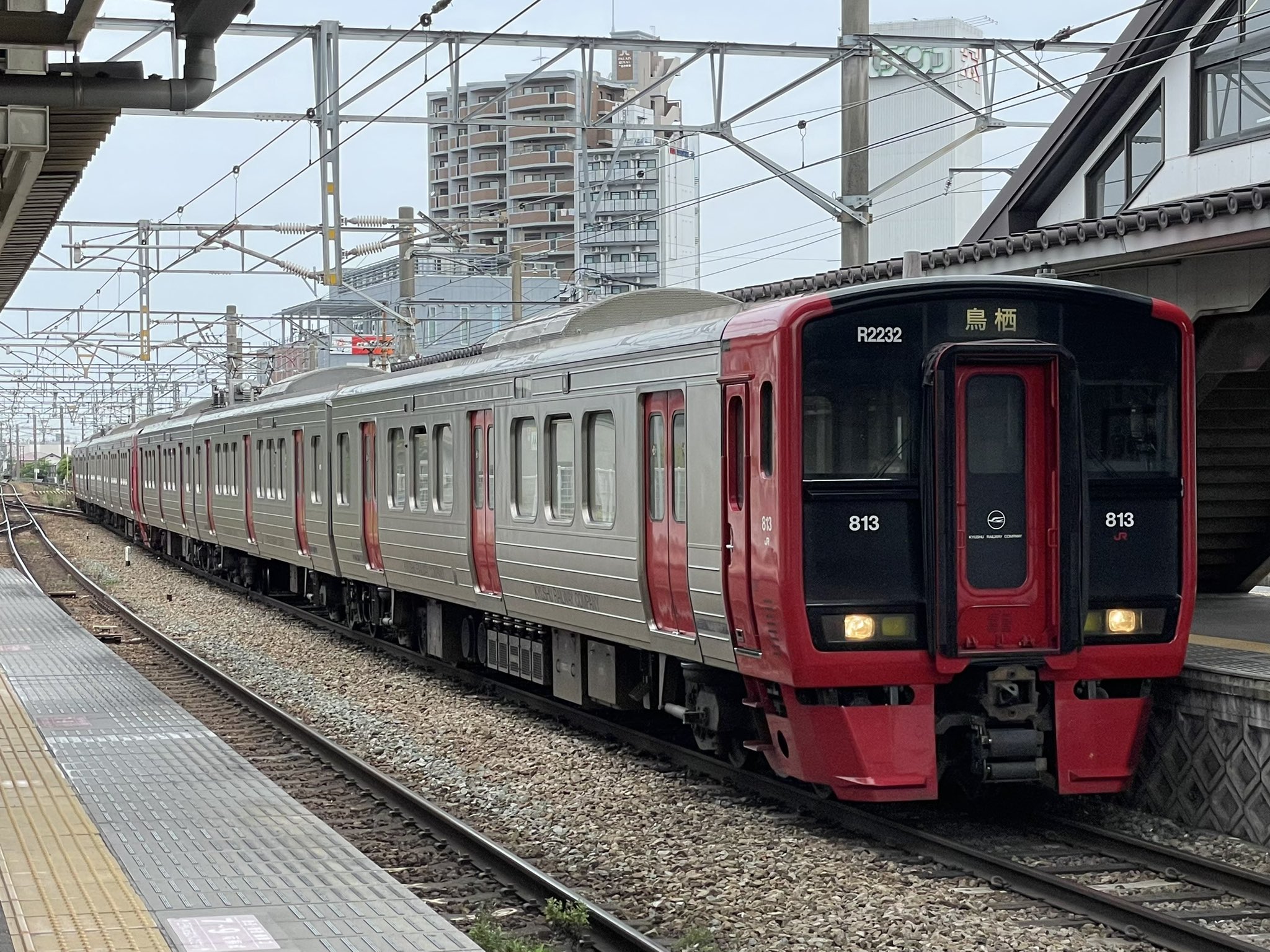 松と鶴　NＴ-132 X-এ 大内太基: 
