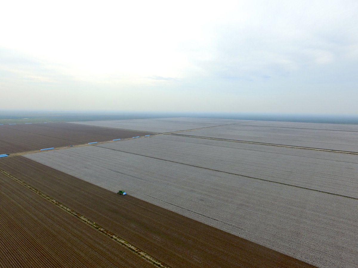 Liam Whitbourne tweet media