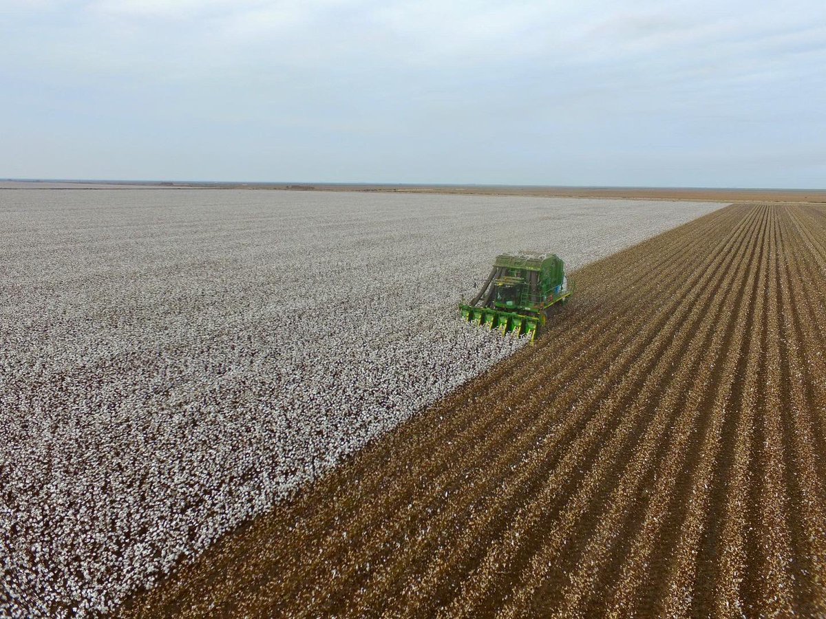 Liam Whitbourne tweet media