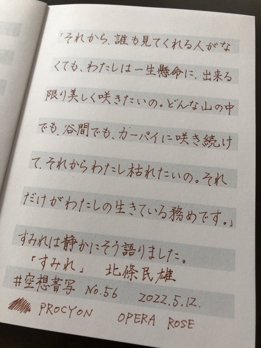 carolcamino's tweet photo. お題をありがとうございます😊
お昼ご飯前に4つほど_φ(・_・
#PROCYON
#ハイカラインキ #OPERAROSE
#mahora
#空想書写 https://t.co/xGTw3GX93C