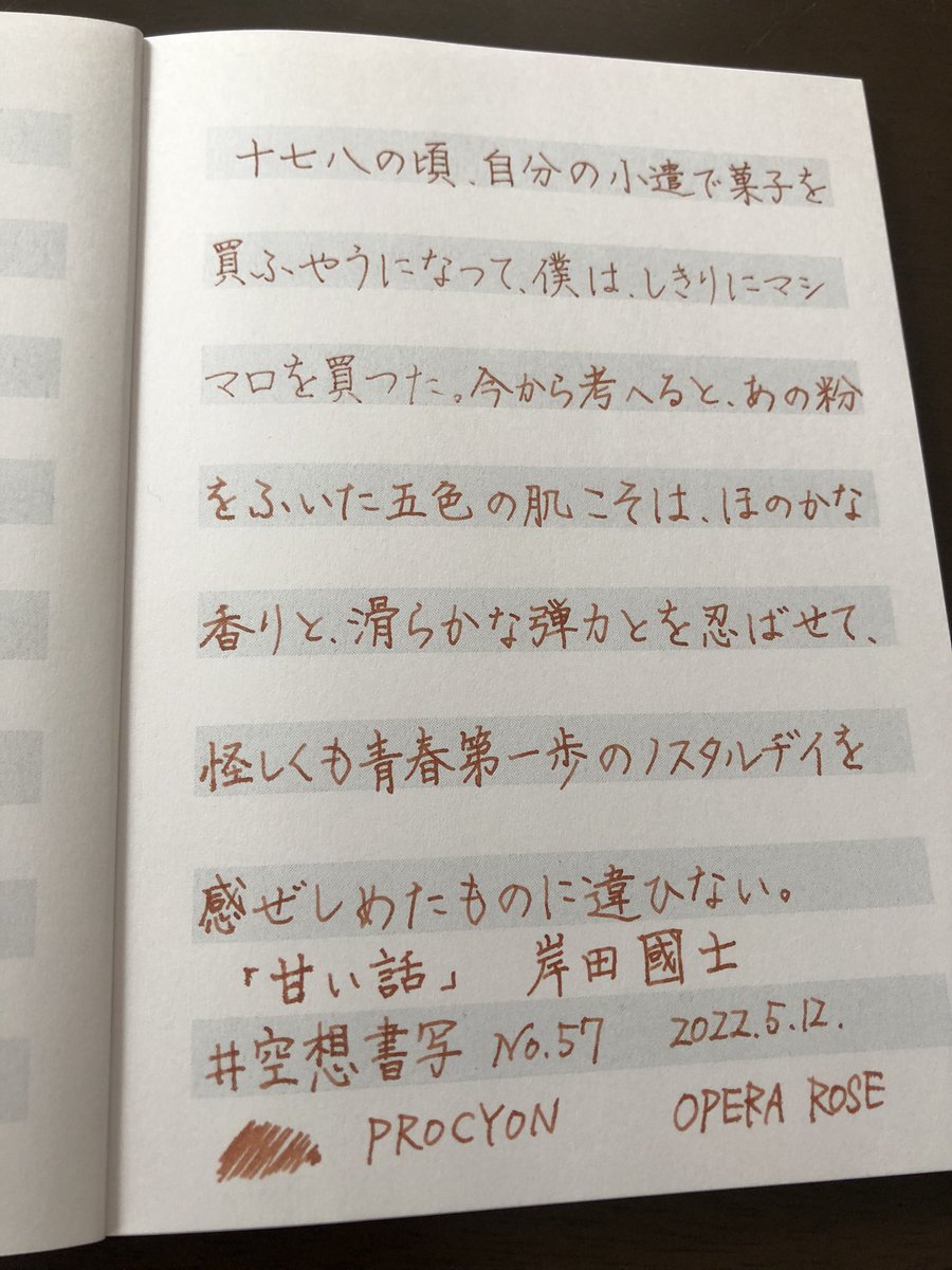 carolcamino's tweet photo. お題をありがとうございます😊
お昼ご飯前に4つほど_φ(・_・
#PROCYON
#ハイカラインキ #OPERAROSE
#mahora
#空想書写 https://t.co/xGTw3GX93C