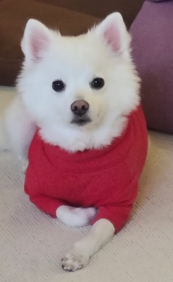 TPSTmessages's tweet photo. [fancafe] 220424 🦉☕️

“tada~ it’s taerae” *cutely*

(1/2)

#tempest #tpst #템페스트 #taerae #태래 https://t.co/RxgjPzavxe