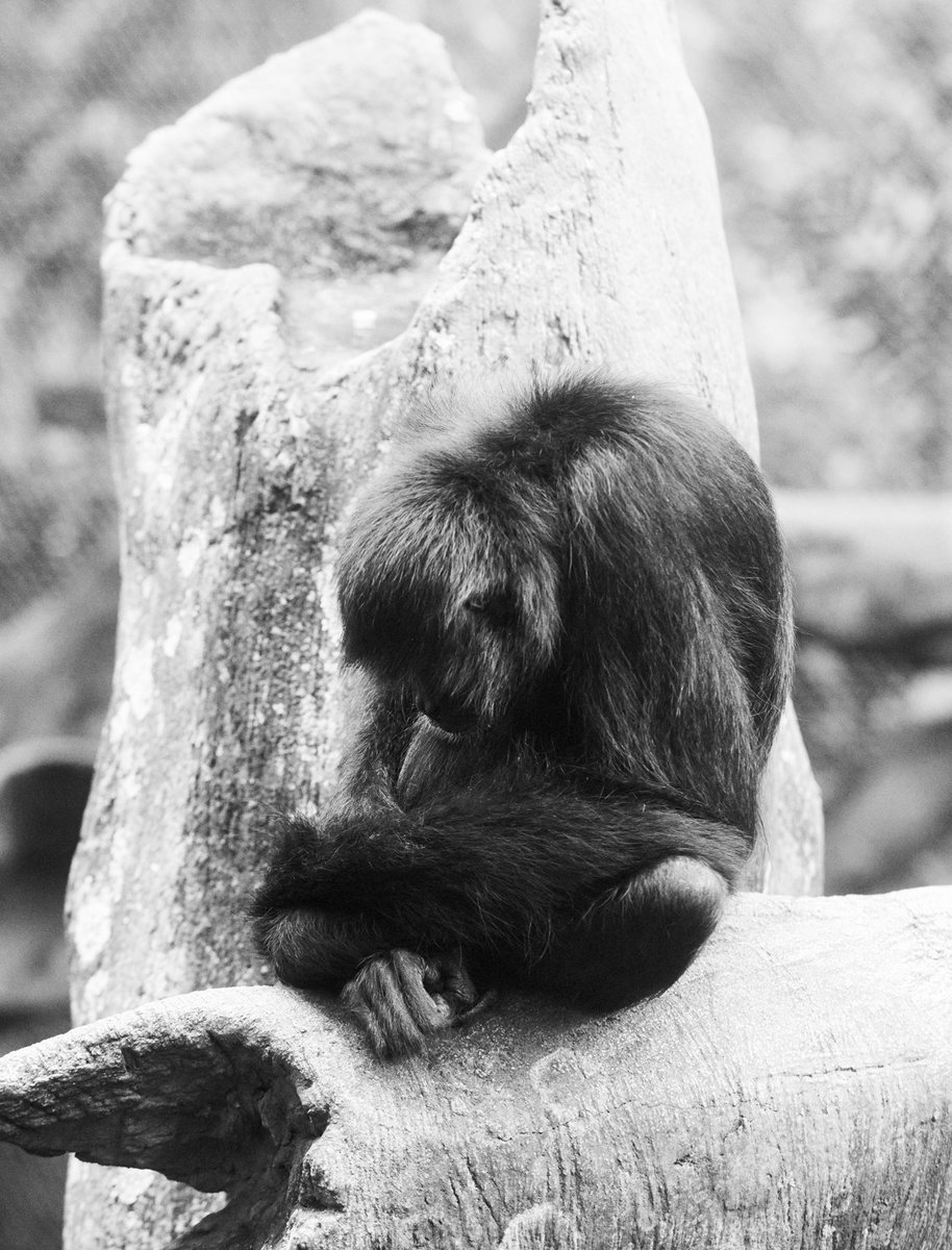 It is not fun to be incarcerated…