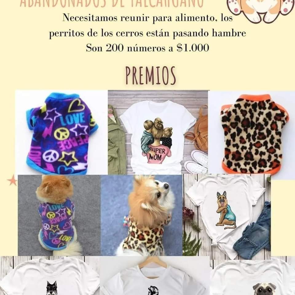 PerritosRuta's tweet photo. RIFA SOLIDARIA A BENEFICIO DE LOS PERRITOS DE LA RUTA 🐶 #Talcahuano
Cta rut 14.505.433-8
Lissette Escalona calbullanca
lissperritosruta@gmail.com 
Mandar whatsapp con números elegidos. Sorteo 5 de junio.
Para cancelar una deudas.
RT por favor https://t.co/ehMys0edNG