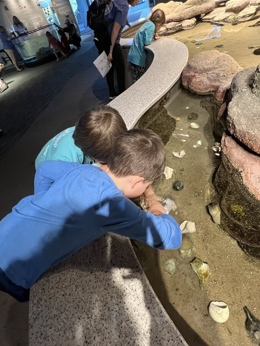 jmccroskeycb's tweet photo. We had a wonderful field trip to the Aquarium!! @CBElementary #cbseastars https://t.co/DujlFJi42y