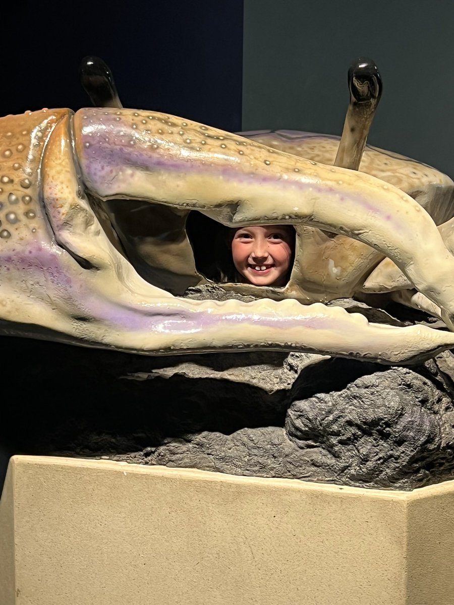 jmccroskeycb's tweet photo. We had a wonderful field trip to the Aquarium!! @CBElementary #cbseastars https://t.co/DujlFJi42y