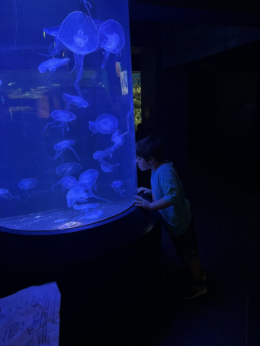 jmccroskeycb's tweet photo. We had a wonderful field trip to the Aquarium!! @CBElementary #cbseastars https://t.co/DujlFJi42y