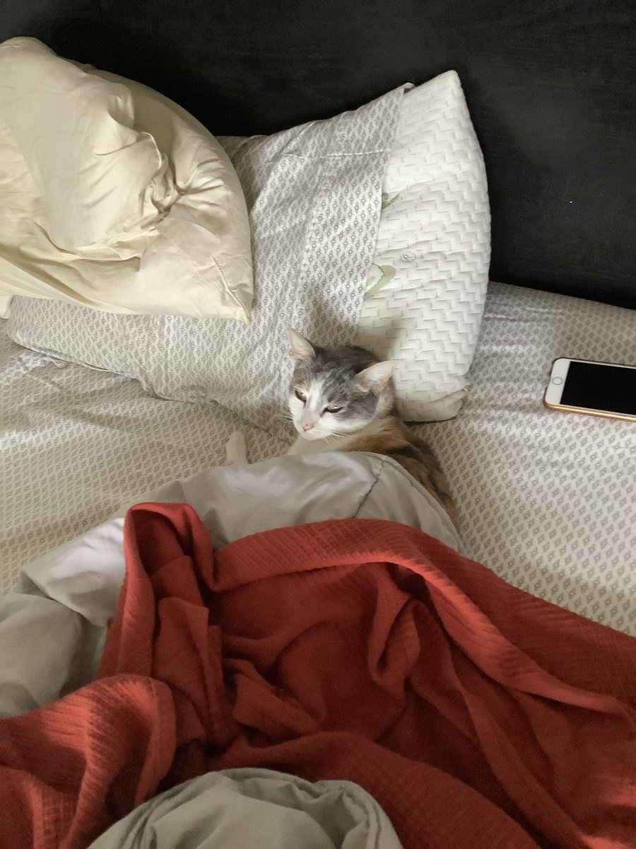 Jazz is good tweet media