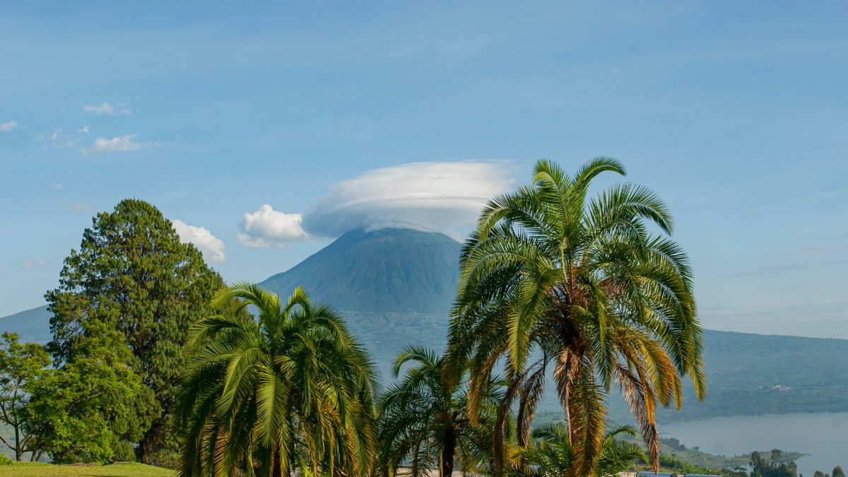 JourneyHeroApp's tweet photo. Did you know? Virunga Mountains are a chain of 8 volcano mountains and they are best known for their biodiversity and as home to many endangered species including mountain gorillas and okapis. ⛰️🦍#makeitpossible 

#virungamountains #rwanda https://t.co/HEu7kAtPlP