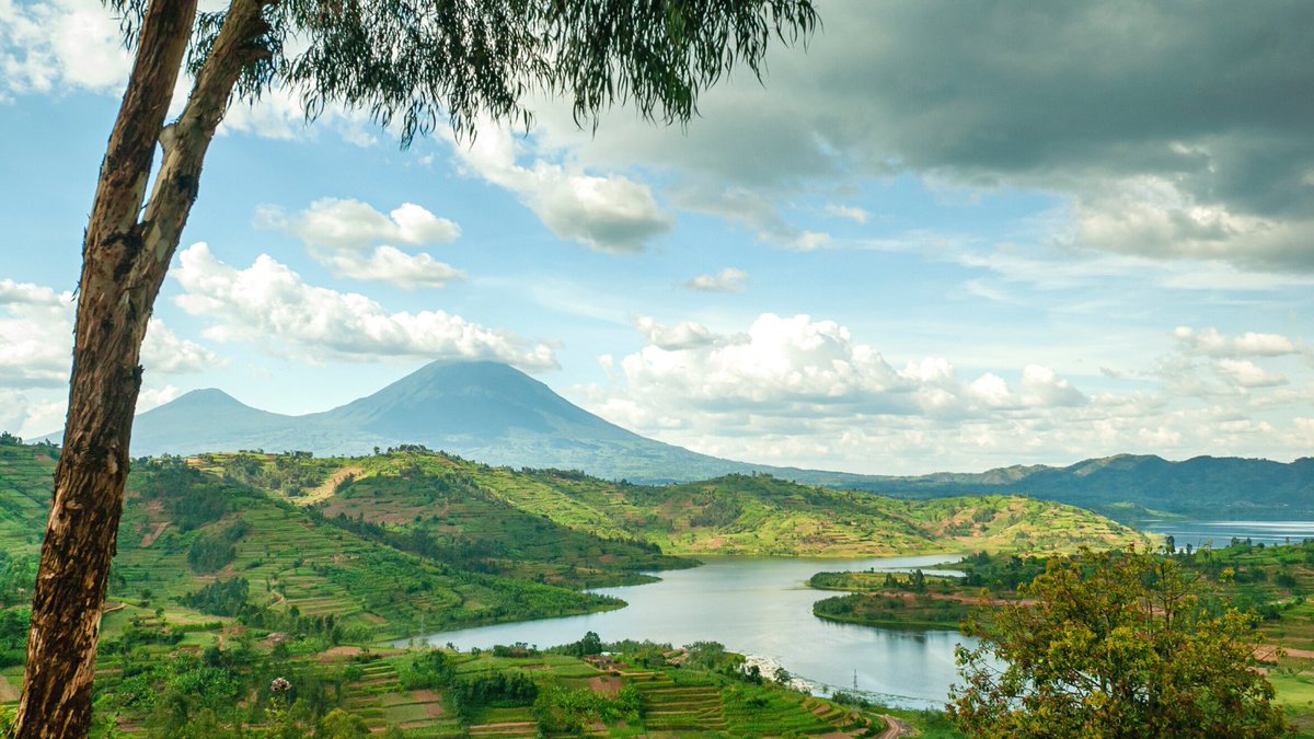 JourneyHeroApp's tweet photo. Did you know? Virunga Mountains are a chain of 8 volcano mountains and they are best known for their biodiversity and as home to many endangered species including mountain gorillas and okapis. ⛰️🦍#makeitpossible 

#virungamountains #rwanda https://t.co/HEu7kAtPlP