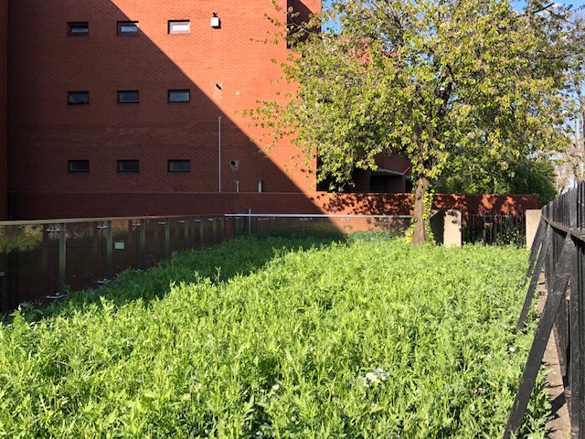 dentsu Ireland tweet media