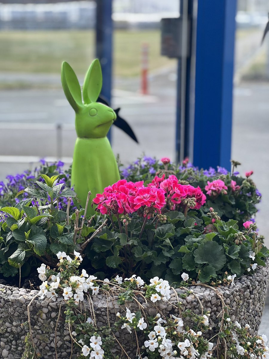 COMPO EXPERT Turf tweet media