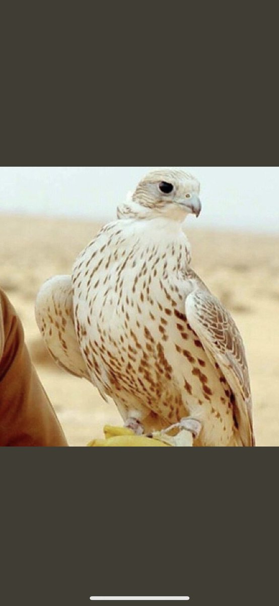 الوقت هذا لا تدقق على الناس
كانك تبي بالفعل راحة ضميرك .