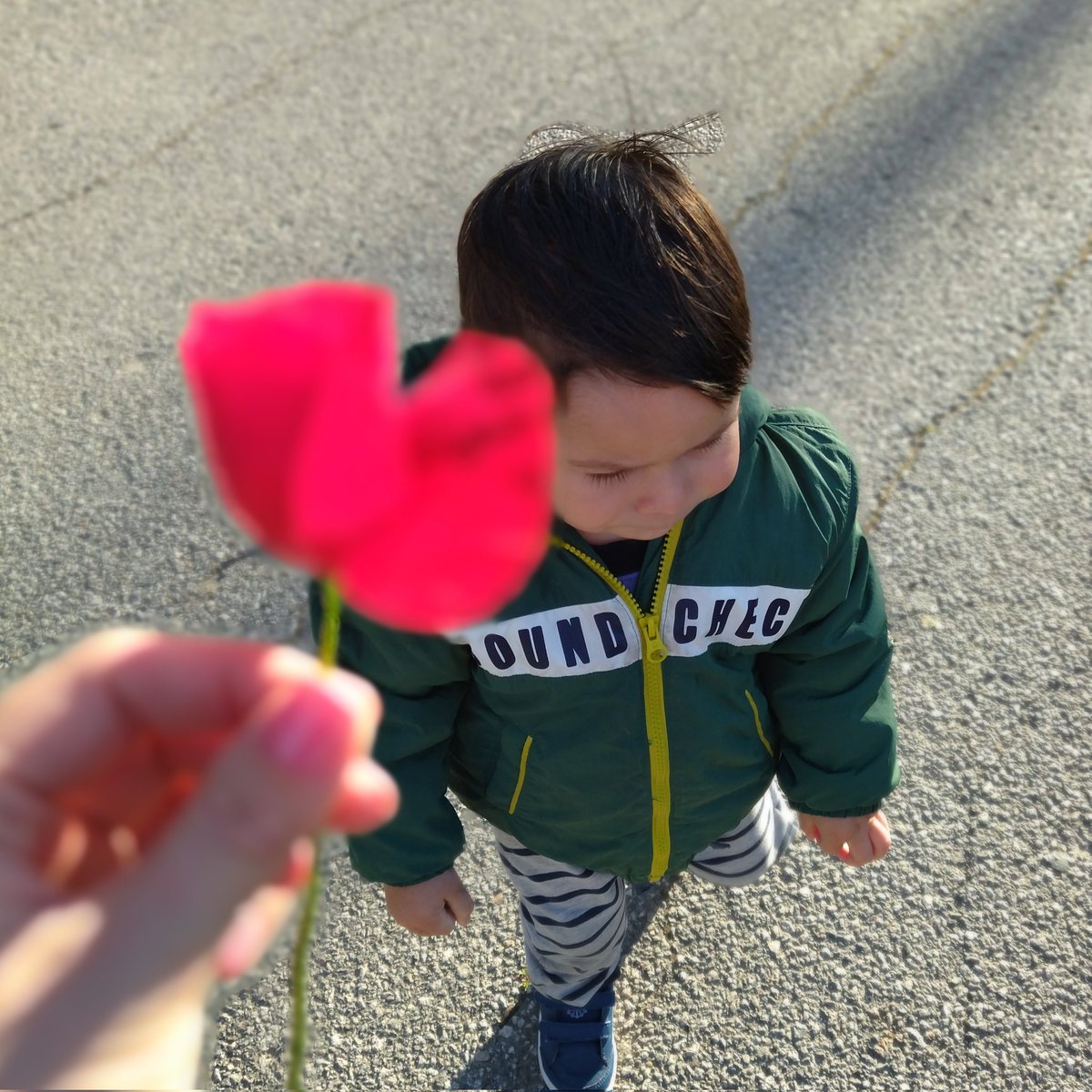 Freude12345's tweet photo. #NewProfilePic https://t.co/1jdEhNPTfp